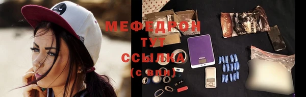 крисы Каменка