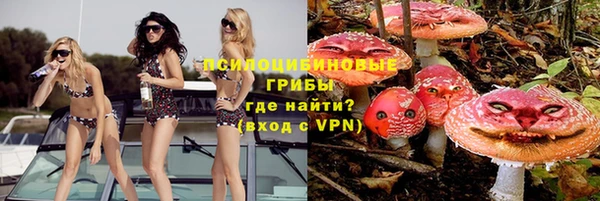 крисы Каменка