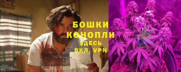 ГАЛЛЮЦИНОГЕННЫЕ ГРИБЫ Каменногорск