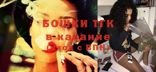 крисы Каменка
