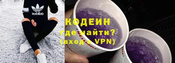 крисы Каменка