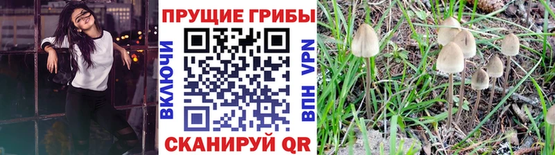 Купить закладки Ефремов Галлюциногенные грибы мухоморы